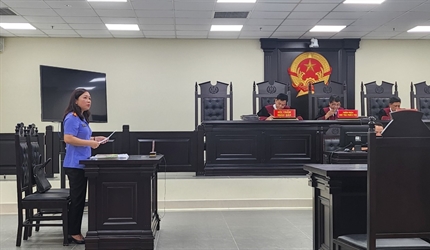 Viện KSND thành phố Hà Nội phối hợp với Tòa án cùng cấp tổ chức phiên...